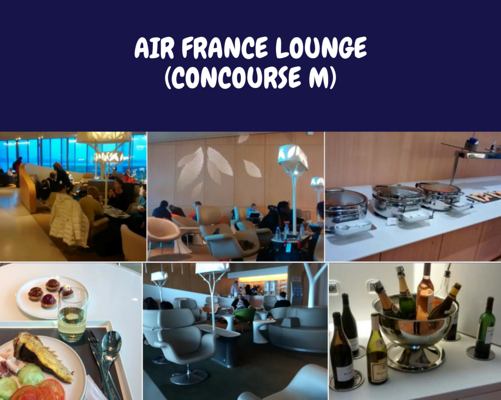 Air France Lounge (Concourse M)