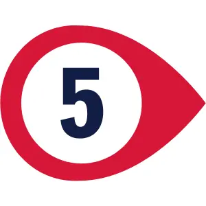 Section 5